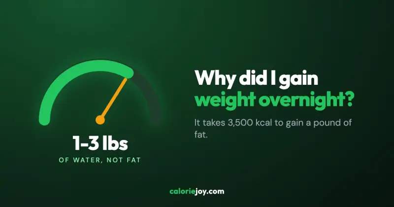 Why Did I Gain Weight Overnight? (It Isn't Fat)